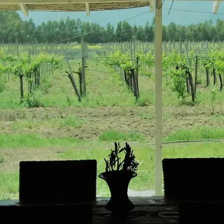 Tra Vigne E Mare - Ampio In Casale