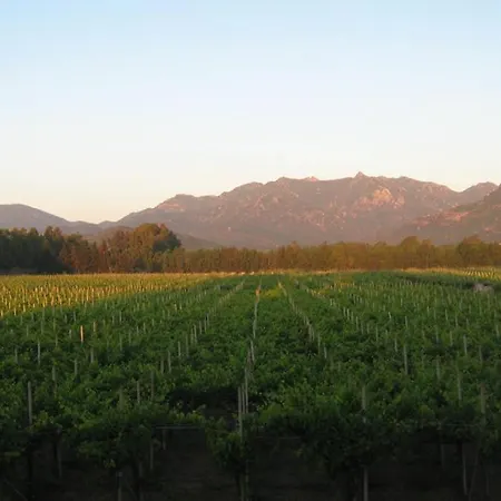 Tra Vigne E Mare - Ampio In Casale Βίλα